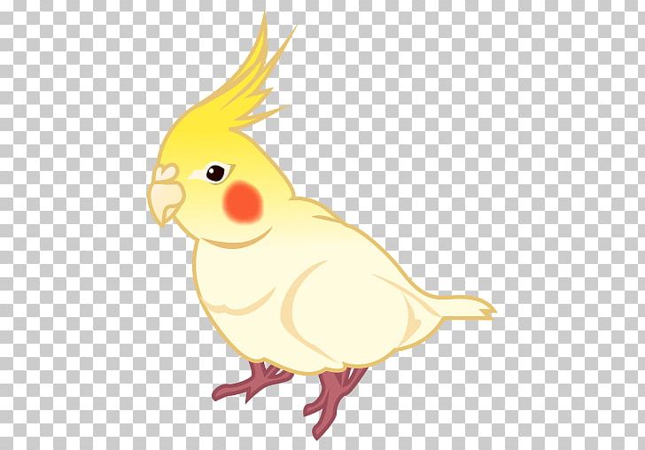 Cockatiel Rooster Cockatoo Illustration PNG, Clipart, Beak, Bird, Chicken, Chicken As Food, Cockatiel Free PNG Download