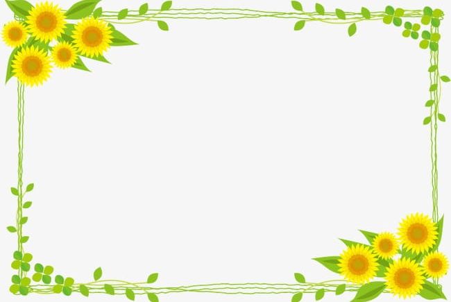 Sunflower Border PNG, Clipart, Border Clipart, Branches, Flower, Flower Vine, Sunflower Free PNG Download