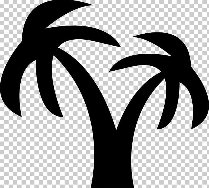 Coconut Arecaceae Tree Logo PNG, Clipart, Arecaceae, Black And White, Branch, Coconut, Computer Icons Free PNG Download