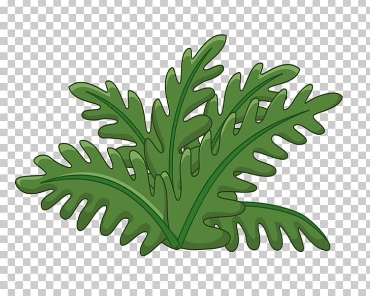 Copenhagen Kurdistan Leaf Nature Rue PNG, Clipart, Copenhagen, Craquelure, Denmark, Flowerpot, Grass Free PNG Download