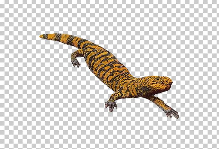Gila Monster Lizard Reptile PNG, Clipart, Africa, Amphibian, Animals, Check Mark, Crocodile Free PNG Download