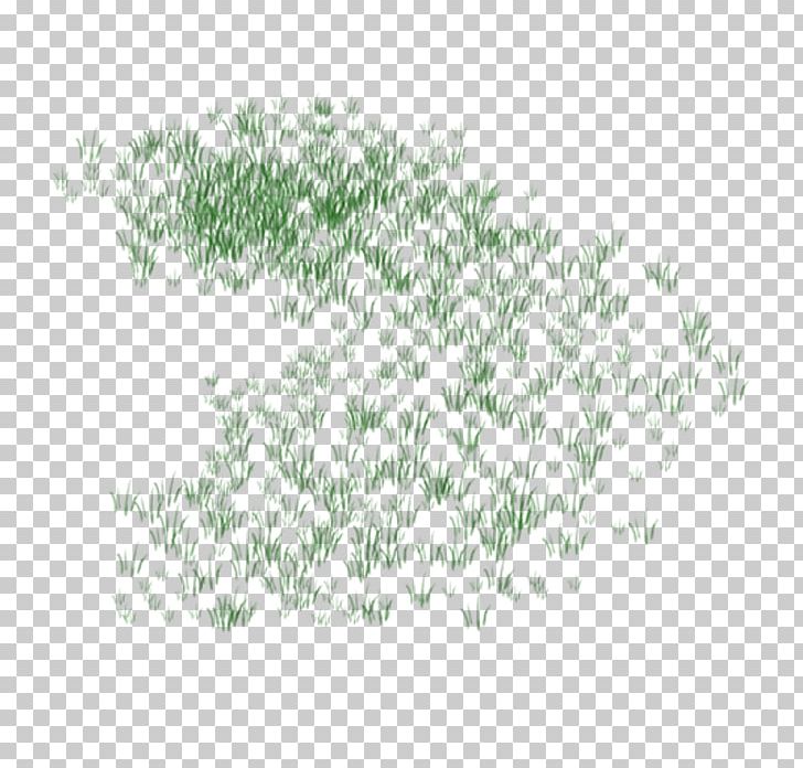 Grass Lawn Plant PNG, Clipart, Artificial Grass, Bamboo, Branch, Cartoon Grass, Creative Grass Free PNG Download