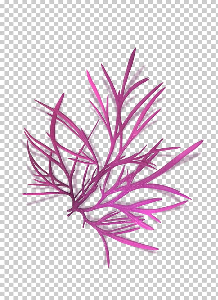 Line Pink M Aquarium PNG, Clipart, Aquarium, Aquarium Decor, Art, Hoja, Line Free PNG Download