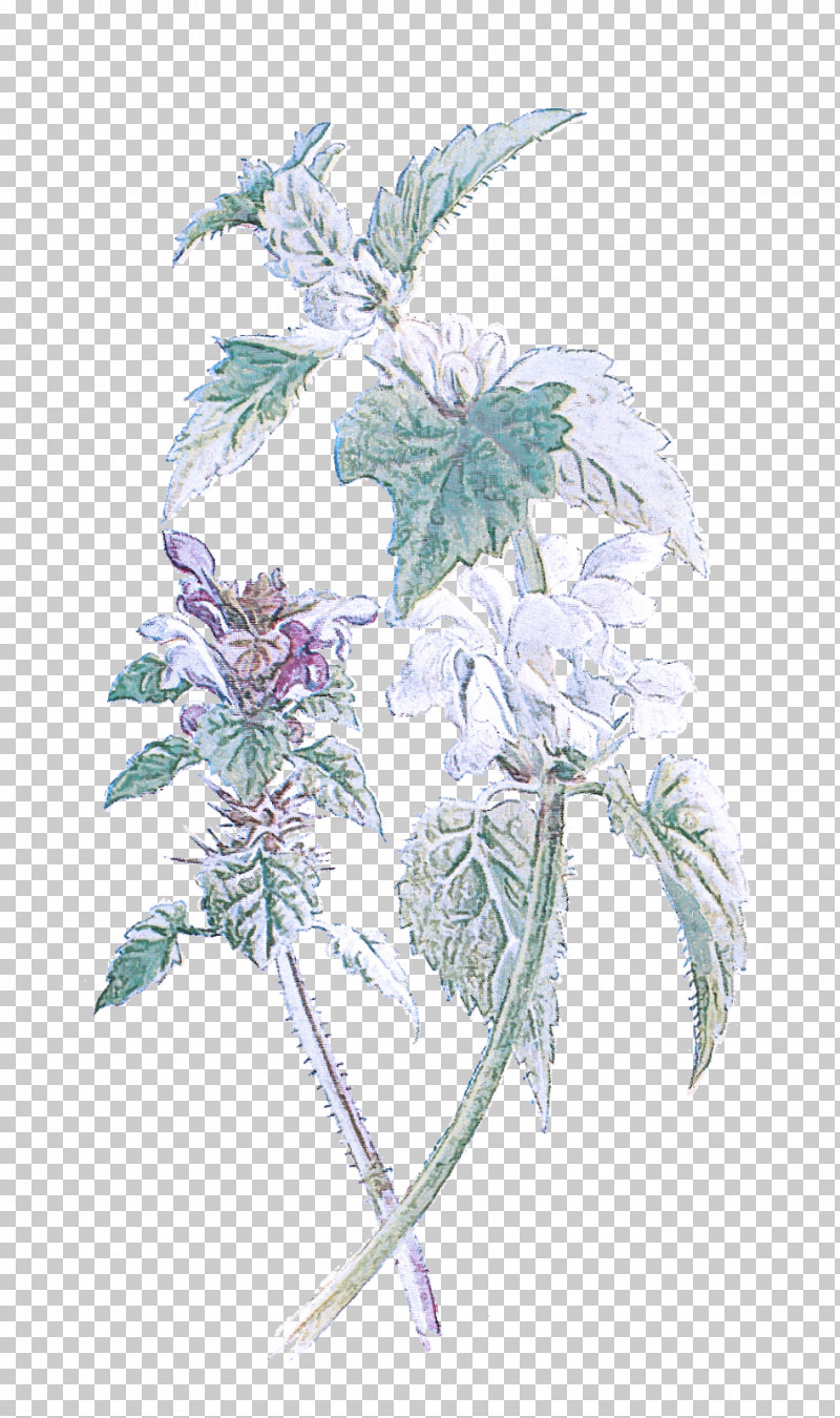 Leaf Plant Stem Twig Flower Flowerpot PNG, Clipart, Biology, Flower, Flowerpot, Herb, Leaf Free PNG Download