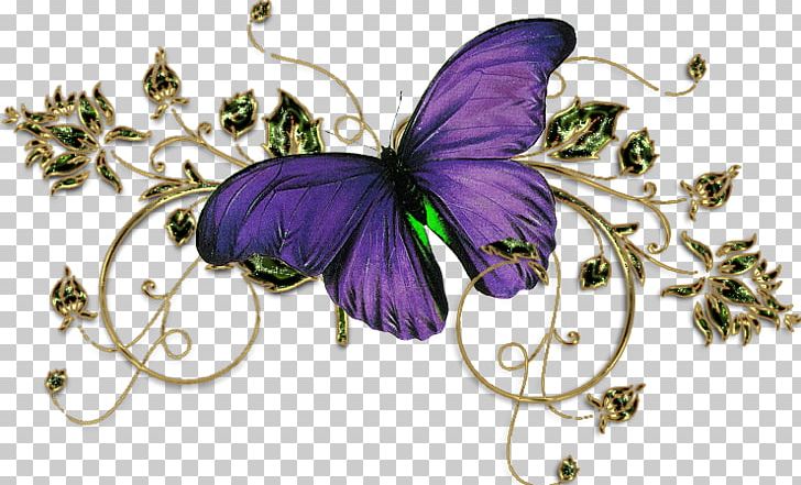 TinyPic Bracket Feeling PNG, Clipart, Arka Fonlar, Arthropod, Blog, Bracket, Brush Footed Butterfly Free PNG Download