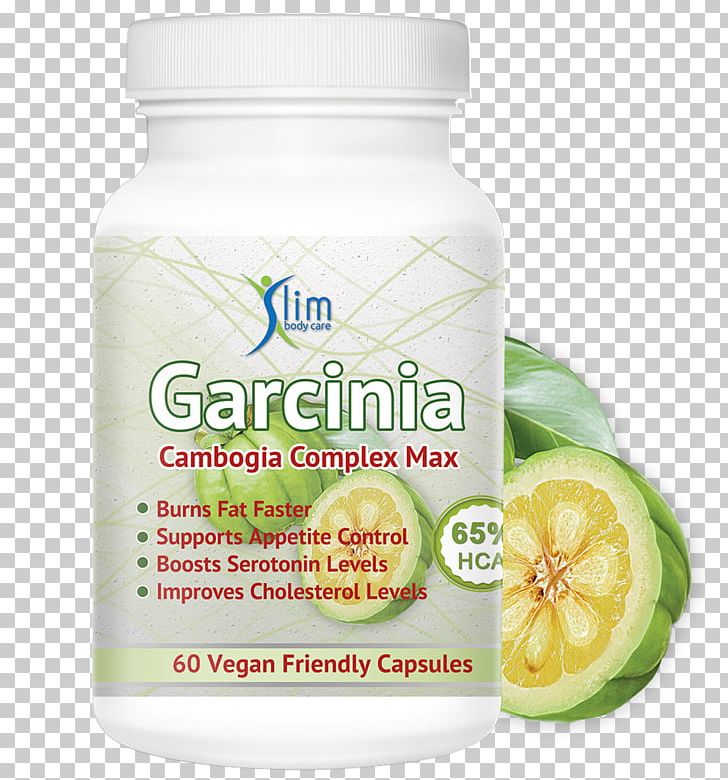 Garcinia Gummi-gutta Flavor Anorectic Fruit PNG, Clipart, Amyotrophic Lateral Sclerosis, Anorectic, Appetite, Auglis, Carbohydrates Free PNG Download