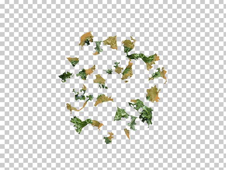 Tree Leaf Flowering Plant Font PNG, Clipart, Border, Branch, Flowering Plant, Food Drinks, Ivy Free PNG Download