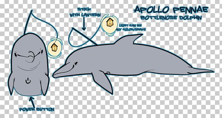 Common Bottlenose Dolphin Tucuxi Porpoise August 10 PNG, Clipart, Animal, Animal Figure, Area, August 10, Beak Free PNG Download