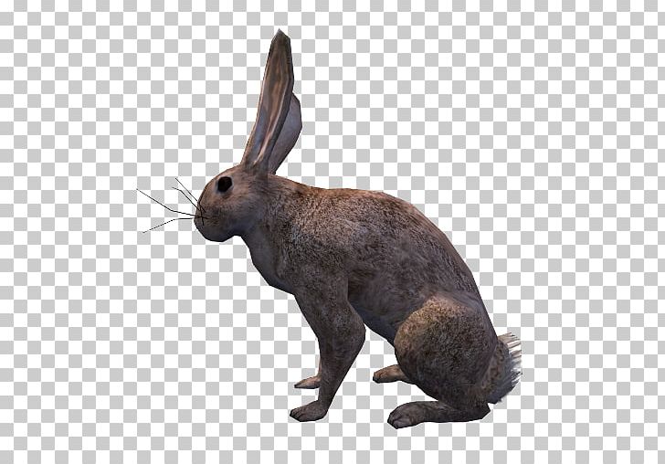 Domestic Rabbit Hare OpenGameArt.org Low Poly PNG, Clipart, 3d Computer Graphics, Animal, Animals, Animation, Blender Free PNG Download
