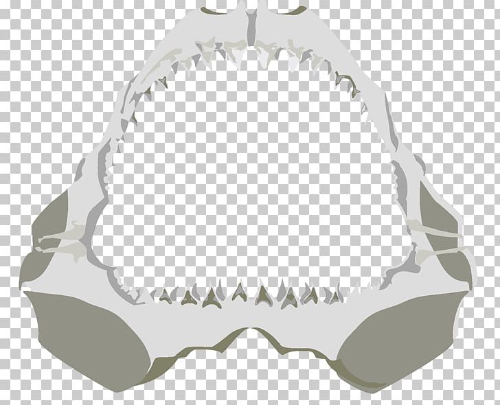 Jaw Angle PNG, Clipart, 40th Anniversary, Angle, Art, Jaw Free PNG Download