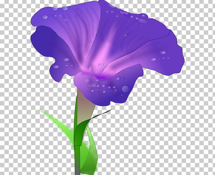 Morning Glory Drawing PNG, Clipart, Art, Blog, Computer Wallpaper, Drawing, Flower Free PNG Download