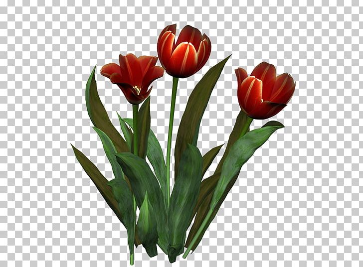 Tulip Flower Bouquet Cut Flowers Floristry PNG, Clipart, Cut Flowers, Floristry, Flower, Flower Bouquet, Flowering Plant Free PNG Download