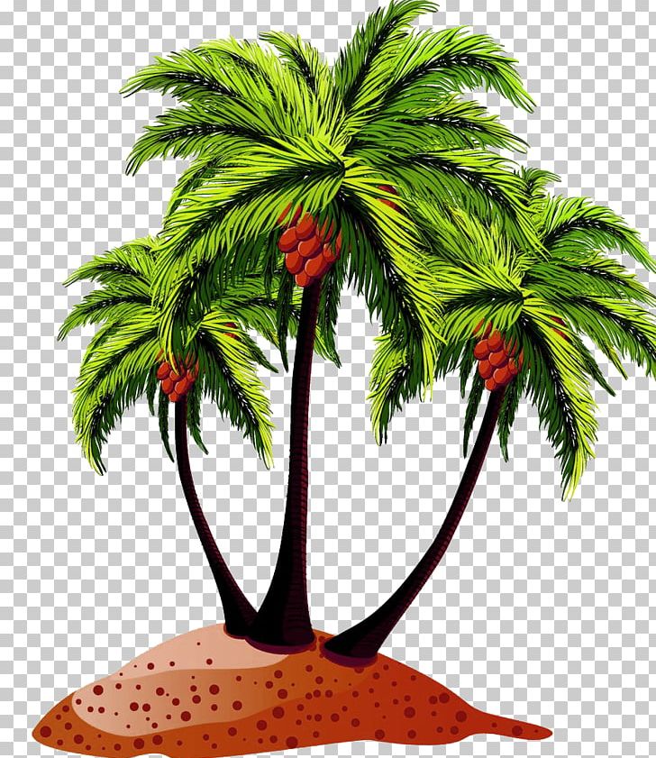 Coconut Arecaceae Drawing PNG, Clipart, Arecales, Autumn Leaves, Banana Leaves, Cartoon, Coconut Crab Free PNG Download