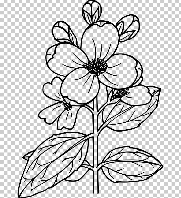 Flower Drawing Power House Mechanic Working On Steam Pump PNG, Clipart ...