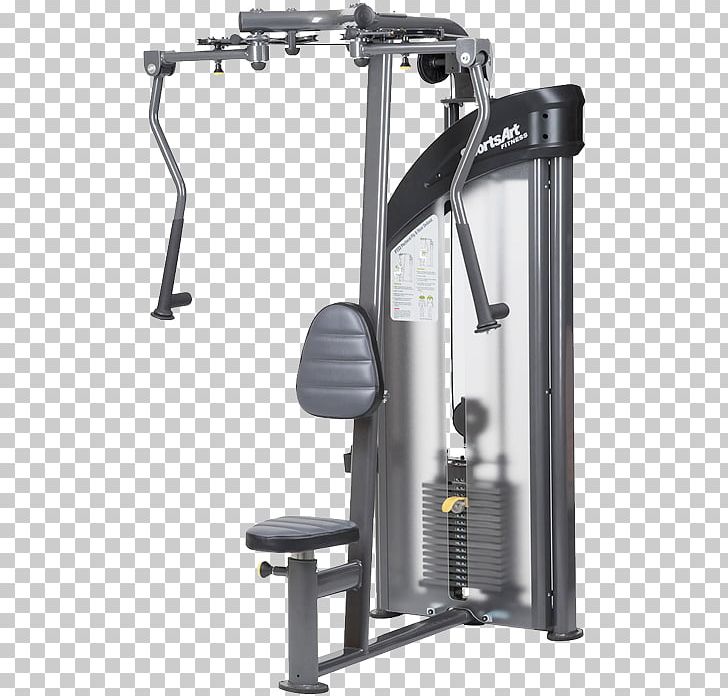 Fly Rear Delt Raise Deltoid Muscle Pectoralis Major Weight Training PNG, Clipart, Bench Press, Bodybuilding, Deltoid, Deltoid Muscle, Dip Free PNG Download