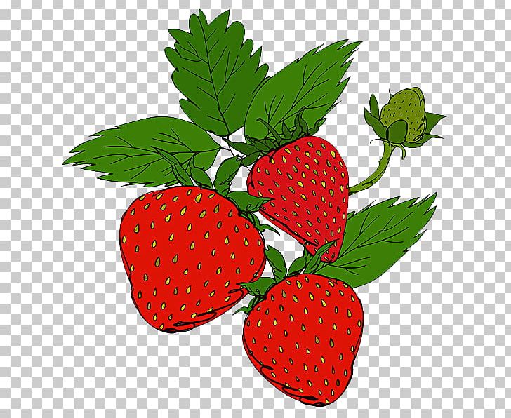 Ice Cream Strawberry Aedmaasikas Auglis PNG, Clipart, Auglis, Computer Icons, Food, Fruit, Fruit Nut Free PNG Download