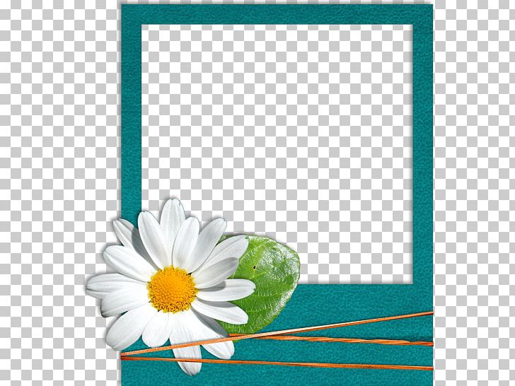 Paper Gift Frame PNG, Clipart, Blue, Dahlia, Daisy, Daisy Family, Envelop Free PNG Download