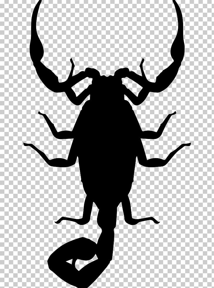 Arizona Bark Scorpion Insect Baja California Bark Scorpion PNG, Clipart, Arizona Bark Scorpion, Artwork, Black And White, Centruroides Suffusus, Drawing Free PNG Download