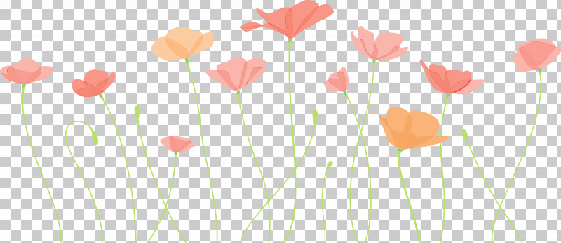 Flower Plant Stem Plant Petal Pedicel PNG, Clipart, Coquelicot, Flower, Paint, Pedicel, Petal Free PNG Download