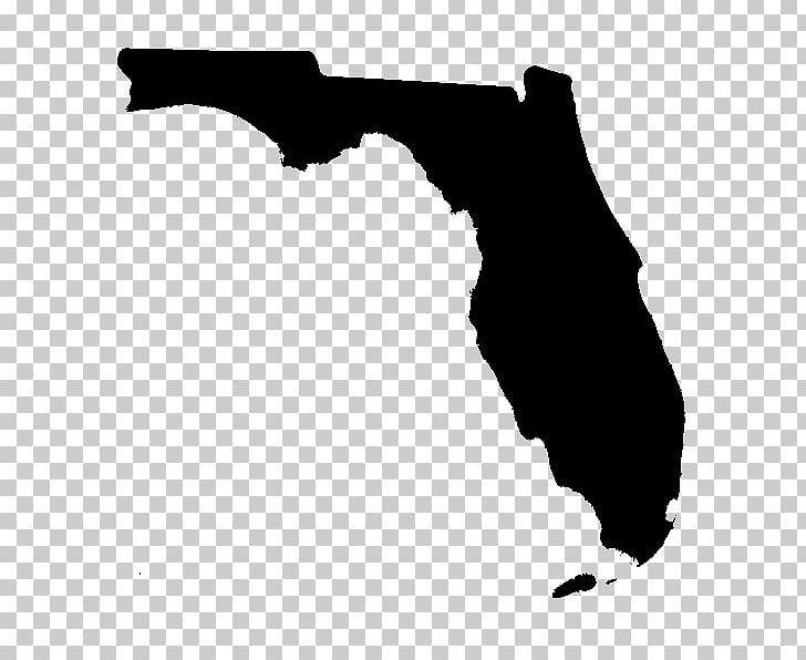 Florida PNG, Clipart, Animals, Black, Black And White, Drawing, Florida Free PNG Download