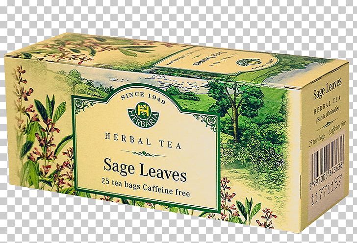 Flowering Tea Common Sage Herb Green Tea PNG, Clipart, Agrimonia Eupatoria, Calendula Officinalis, Common Sage, Euphrasia Rostkoviana, Eyebright Free PNG Download