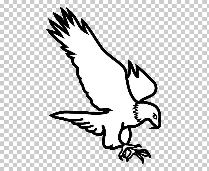 Bird Eagle Inkscape PNG, Clipart, Animals, Art, Artwork, Beak, Bird Free PNG Download