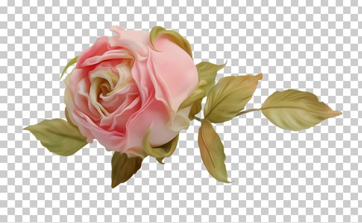 Garden Roses PNG, Clipart, Artificial Flower, Bud, Centifolia Roses, Encapsulated Postscript, Floribunda Free PNG Download