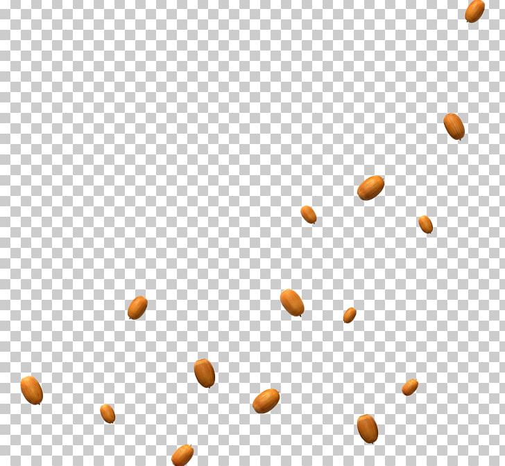 Nut Food PNG, Clipart, Accessories, Angle, Antiquity, Cartoon, Cartoon Character Free PNG Download