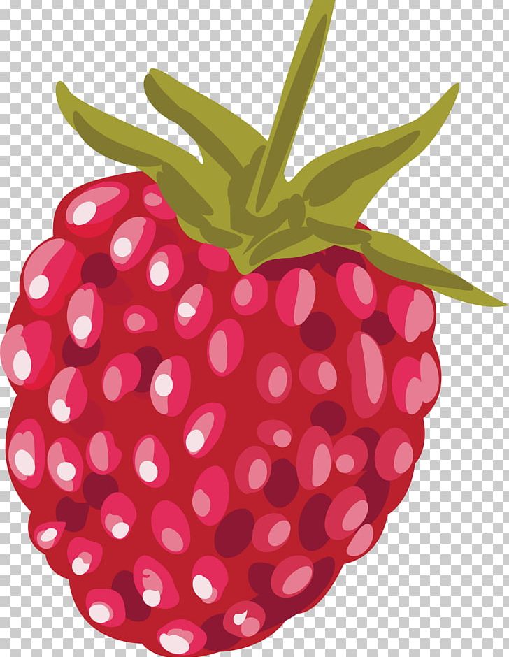 Strawberry Red Raspberry Euclidean PNG, Clipart, Accessory Fruit, Berry, Decorative, Decorative Pattern, Euclidean Vector Free PNG Download