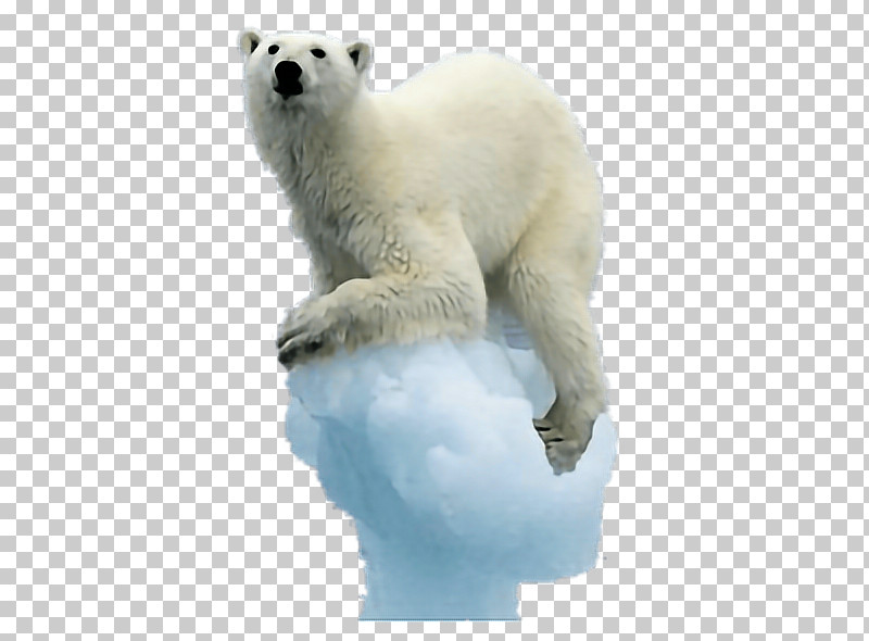 Polar Bear Bear Polar Bear Animal Figure Polar Ice Cap PNG, Clipart, Adaptation, Animal Figure, Arctic, Bear, Polar Bear Free PNG Download