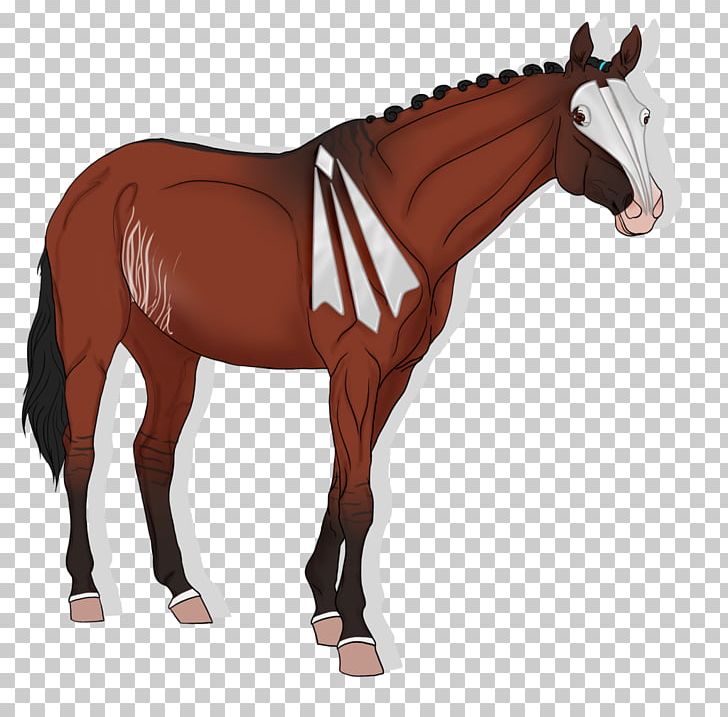 Arabian Horse American Paint Horse Stallion Mare Mustang PNG, Clipart, American, Arabian Horse, Bridle, Colt, Equestrian Free PNG Download