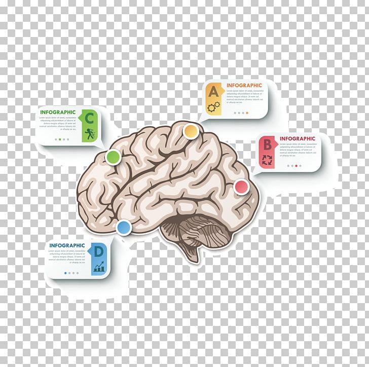 Brain Cerebrum PNG, Clipart, Africa Map, Agy, Artworks, Asia Map, Australia Map Free PNG Download
