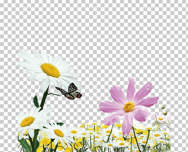 Butterfly Natural Environment Euclidean Computer File PNG, Clipart, Computer Wallpaper, Daisy Family, Environmental Protection, Flower, Flowers Free PNG Download