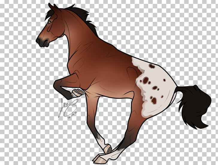 Mane Foal Stallion Pony Mustang PNG, Clipart, Bridle, Colt, English Riding, Equestrian, Equestrian Sport Free PNG Download