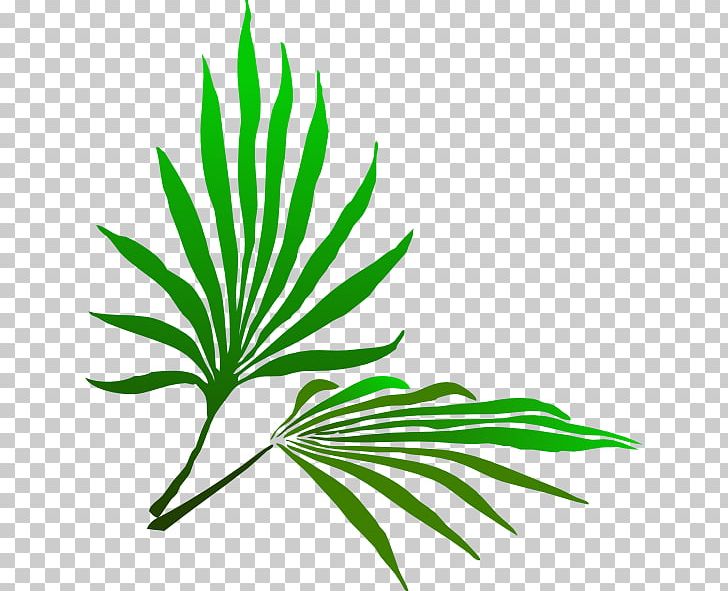 Palm Sunday Palm Branch Easter PNG, Clipart, Arecaceae, Black And White, Branch, Clip Art, Desktop Wallpaper Free PNG Download