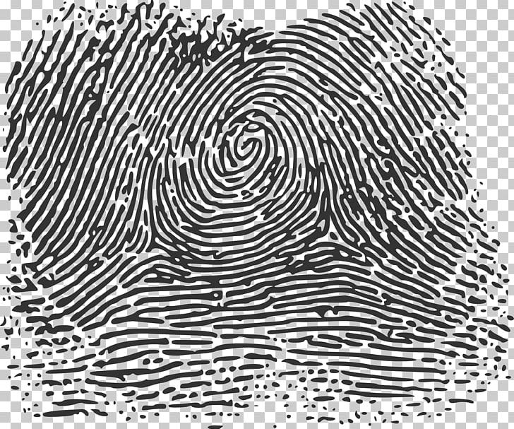 Fingerprint Wikimedia Commons Printing Thumb PNG, Clipart, Antonyms, Area, Black, Black And White, Circle Free PNG Download