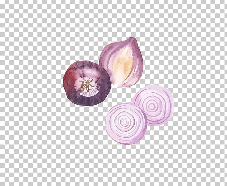 Onion Watercolor Painting Food PNG, Clipart, Cartoon, Chinese, Chinese Painting, Color, Creative Free PNG Download