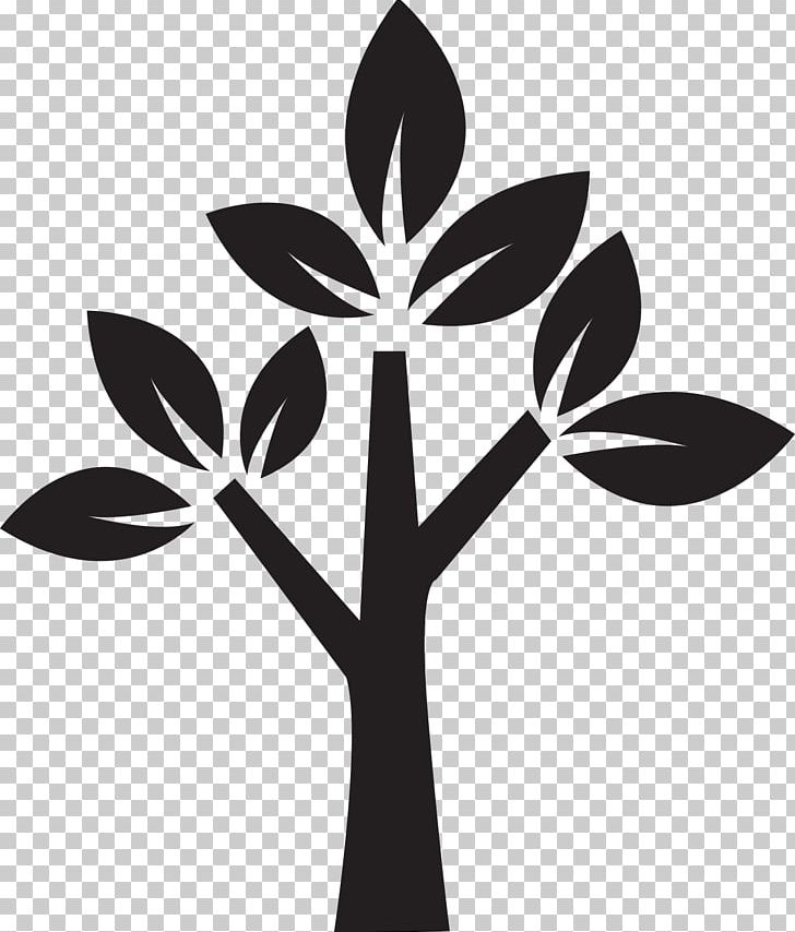 Plant Stem Tree Flower Riddle PNG, Clipart, Antwoord, Black And White, Branch, Drawing, Flora Free PNG Download