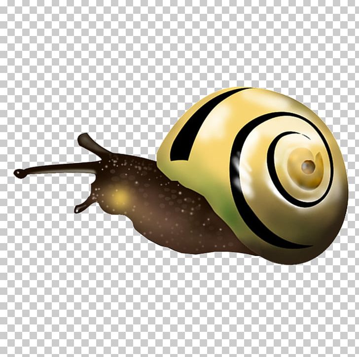 Snail Orthogastropoda PNG, Clipart, Animals, Balloon Cartoon, Cartoon, Cartoon Character, Cartoon Couple Free PNG Download