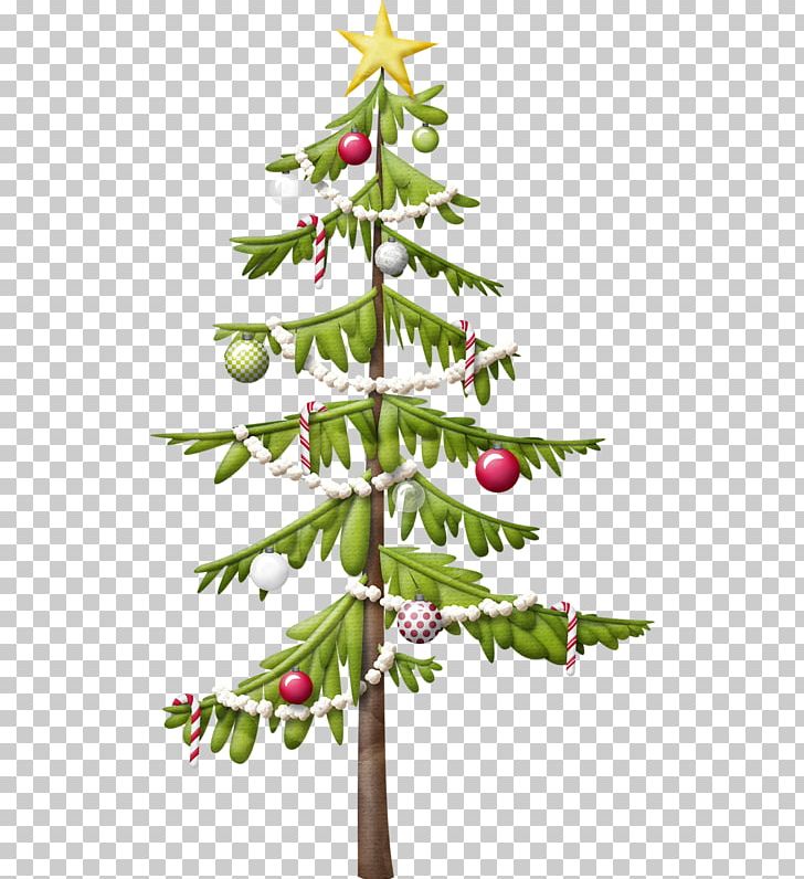 Christmas Tree PNG, Clipart, Branch, Christmas, Christmas Decoration, Christmas Ornament, Christmas Tree Free PNG Download