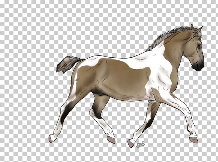 Foal Mare Mustang Stallion Mane PNG, Clipart,  Free PNG Download