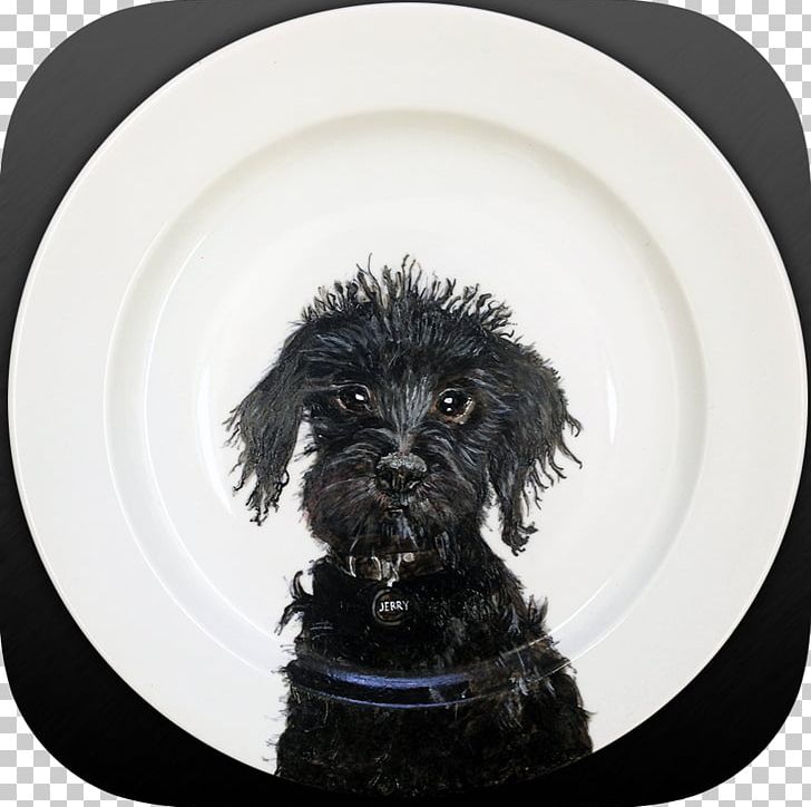 Schnoodle Portuguese Water Dog Cockapoo Spanish Water Dog Affenpinscher PNG, Clipart, Affenpinscher, Android Games, Animals, App, Breed Free PNG Download