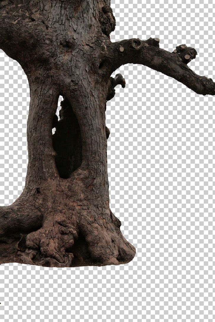Trunk Tree Stump PNG, Clipart, 2d Computer Graphics, Bark, Deviantart, Giant Sequoia, Nature Free PNG Download