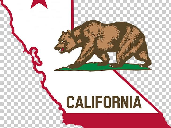 Flag Of California Flag Of The United States Governor Of California Law PNG, Clipart, California, California Flag, California Grizzly Bear, Carnivoran, Dianne Feinstein Free PNG Download