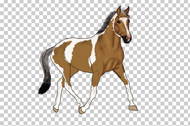 Foal Stallion Mustang Mare Bridle PNG, Clipart, Bridle, Colt, Dog Harness, Foal, Halter Free PNG Download