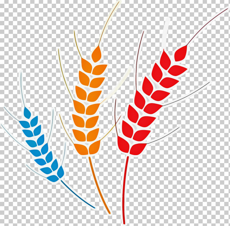 Pongal PNG, Clipart, Barley, Cereal, Crop, Gluten, Pongal Free PNG Download