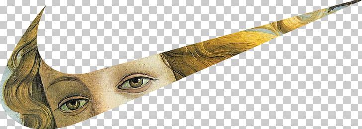 Art Swoosh Just Do It Renaissance Nike PNG, Clipart, Angle, Art, Art Film, Eye, Just Do Free PNG Download