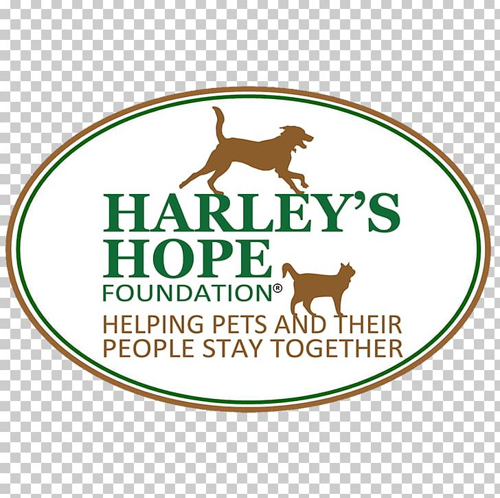 Harley's Hope Foundation Chicken Happy Cats Haven Pet Dog PNG, Clipart,  Free PNG Download