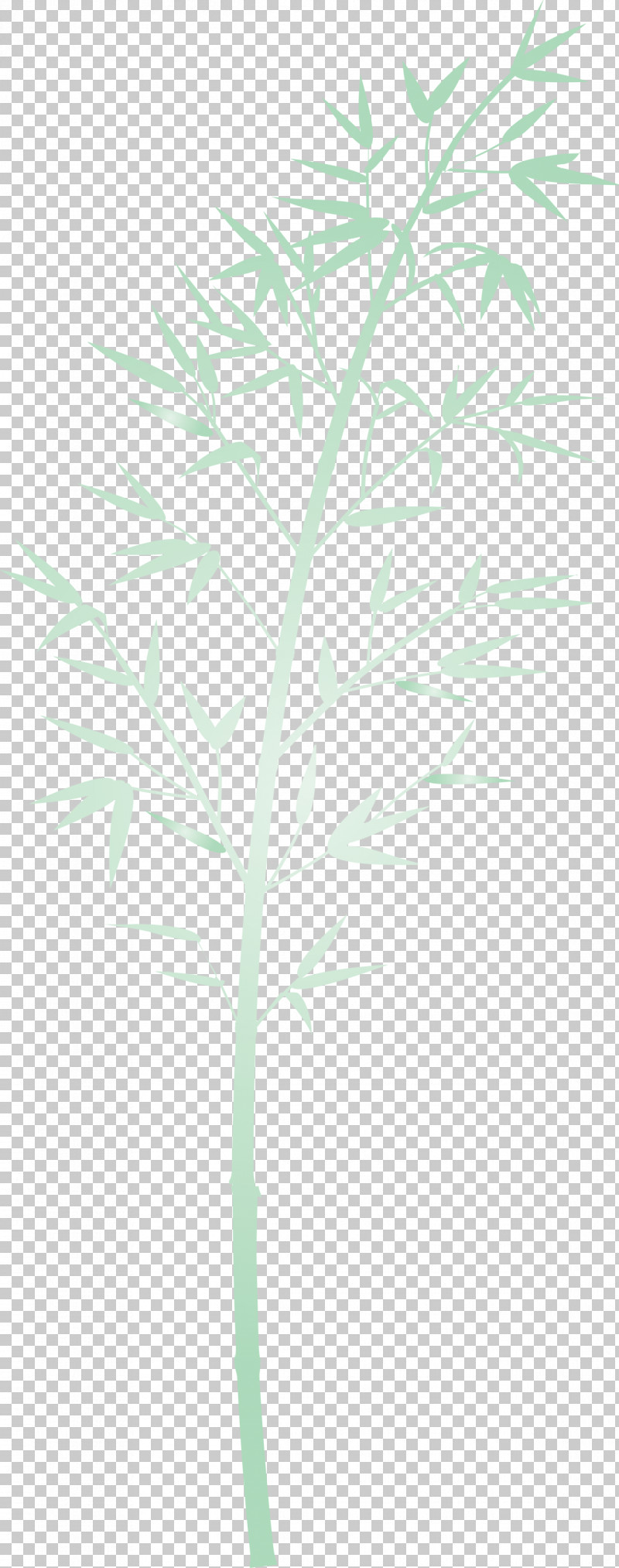 Bamboo Leaf PNG, Clipart, Bamboo, Branch, Flower, Grass, Leaf Free PNG Download