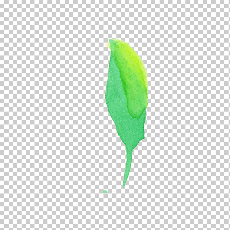 Feather PNG, Clipart, Feather, Flower, Green, Leaf, Logo Free PNG Download